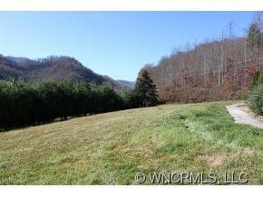 1793 Max Patch Road - Photo 18