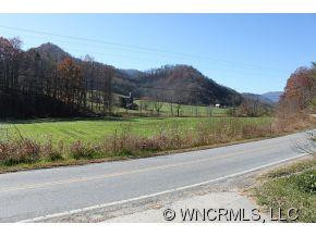 1793 Max Patch Road - Photo 19
