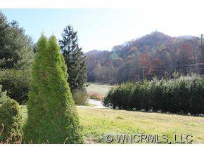 1793 Max Patch Road - Photo 24