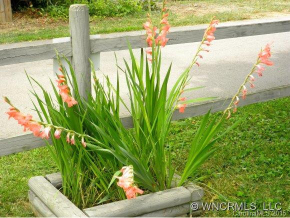 80 Pelzer Street - Photo 24