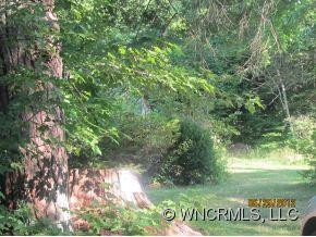 983 Bee Tree Road - Photo 2