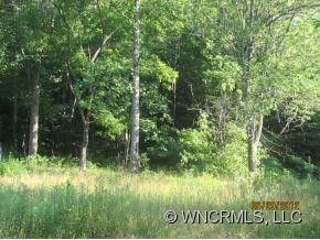 983 Bee Tree Road - Photo 3