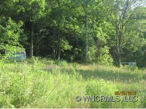 983 Bee Tree Road - Photo 5