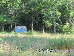 983 Bee Tree Road - Photo 10