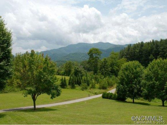 249 PRIDE MOUNTAIN ROAD - Photo 23