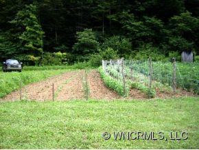 295 Mountain Springs Road - Photo 11