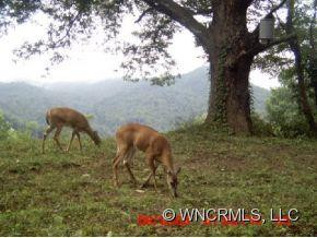 295 Mountain Springs Road - Photo 6