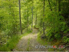 295 Mountain Springs Road - Photo 8