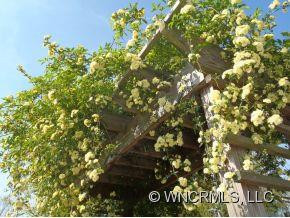 97 Madison Avenue - Photo 20