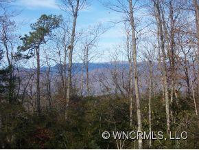 150 Sorrel Tree Lane - Photo 5