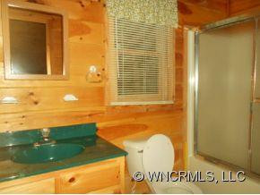 58 Cabin Fever Trail - Photo 11
