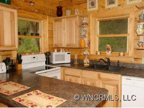 556 ROARING CREEK LANE - Photo 4