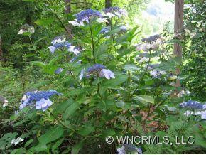1291 WALNUT CREEK ROAD - Photo 4