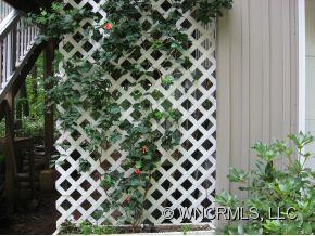 1291 WALNUT CREEK ROAD - Photo 5