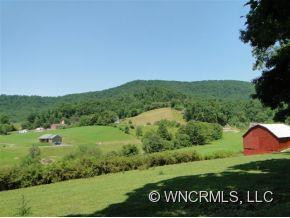 129 Pleasant Gap Lane - Photo 3