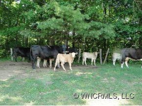 129 Pleasant Gap Lane - Photo 4
