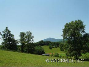 129 Pleasant Gap Lane - Photo 10