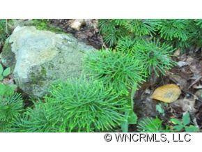 14 Grouse Rd - Photo 14