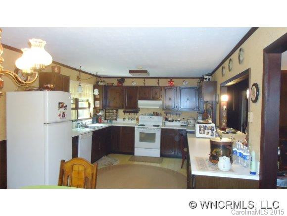 159 CHOO CHOO MOUNTAIN ROAD - Photo 2
