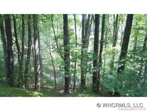 159 CHOO CHOO MOUNTAIN ROAD - Photo 11