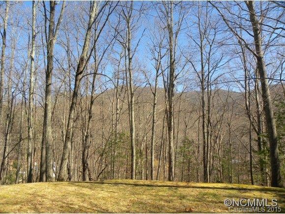 159 CHOO CHOO MOUNTAIN ROAD - Photo 14