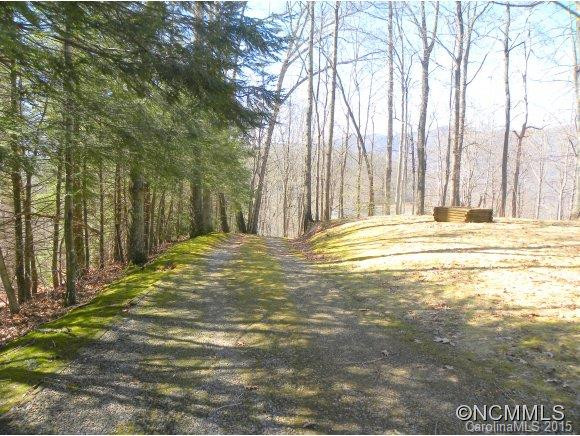 159 CHOO CHOO MOUNTAIN ROAD - Photo 16