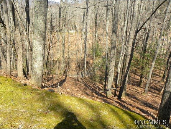 159 CHOO CHOO MOUNTAIN ROAD - Photo 18