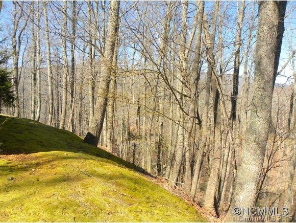 159 CHOO CHOO MOUNTAIN ROAD - Photo 19