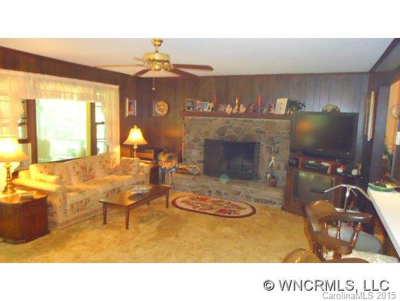 159 CHOO CHOO MOUNTAIN ROAD - Photo 4