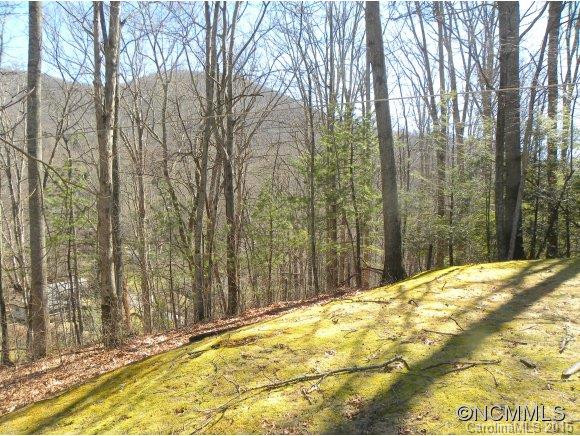 159 CHOO CHOO MOUNTAIN ROAD - Photo 9
