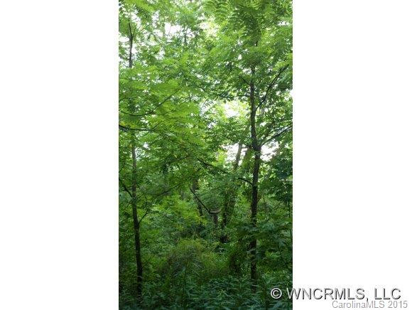 504 Wilson Road - Photo 15