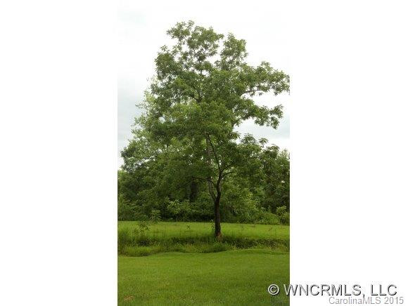 504 Wilson Road - Photo 17
