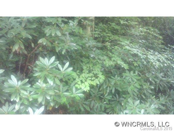 504 Wilson Road - Photo 22