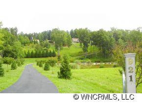 921 Old Leicester Highway - Photo 2