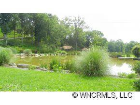 921 Old Leicester Highway - Photo 3