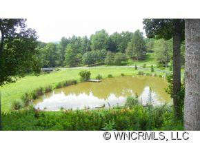 921 Old Leicester Highway - Photo 4