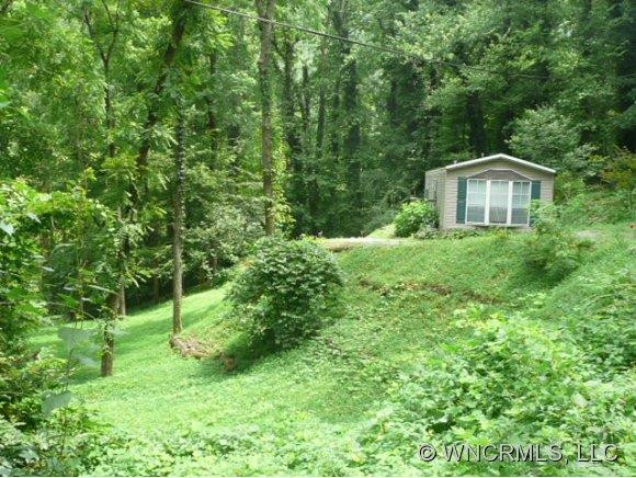133 Lower Bat Cave Drive