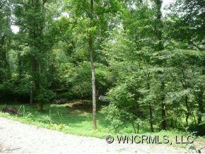 133 Lower Bat Cave Drive - Photo 2