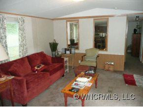 133 Lower Bat Cave Drive - Photo 3