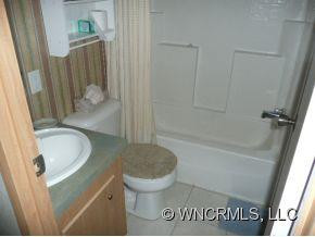 133 Lower Bat Cave Drive - Photo 9