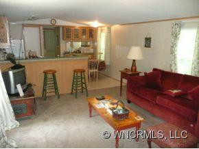 133 Lower Bat Cave Drive - Photo 10