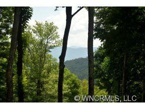 580 Flying Hawk Trail - Photo 2