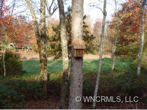 83 Dalonigei Court - Photo 3