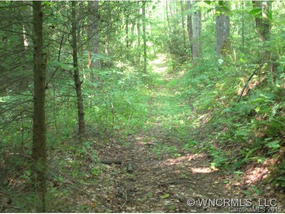 83 Chickasaw Trail - Photo 16