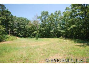 384 Pheasant Gap Road - Photo 11