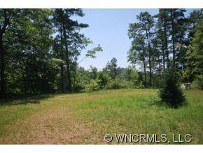 384 Pheasant Gap Road - Photo 10