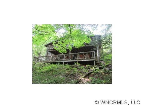 1105 Pine Root Branch