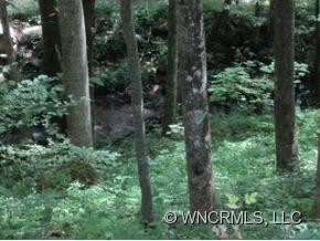 1105 Pine Root Branch - Photo 9