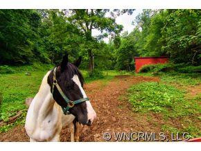222 Wiggins Rd - Photo 24