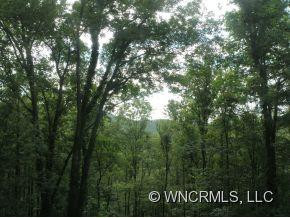 109 Morning Glory Lane - Photo 14